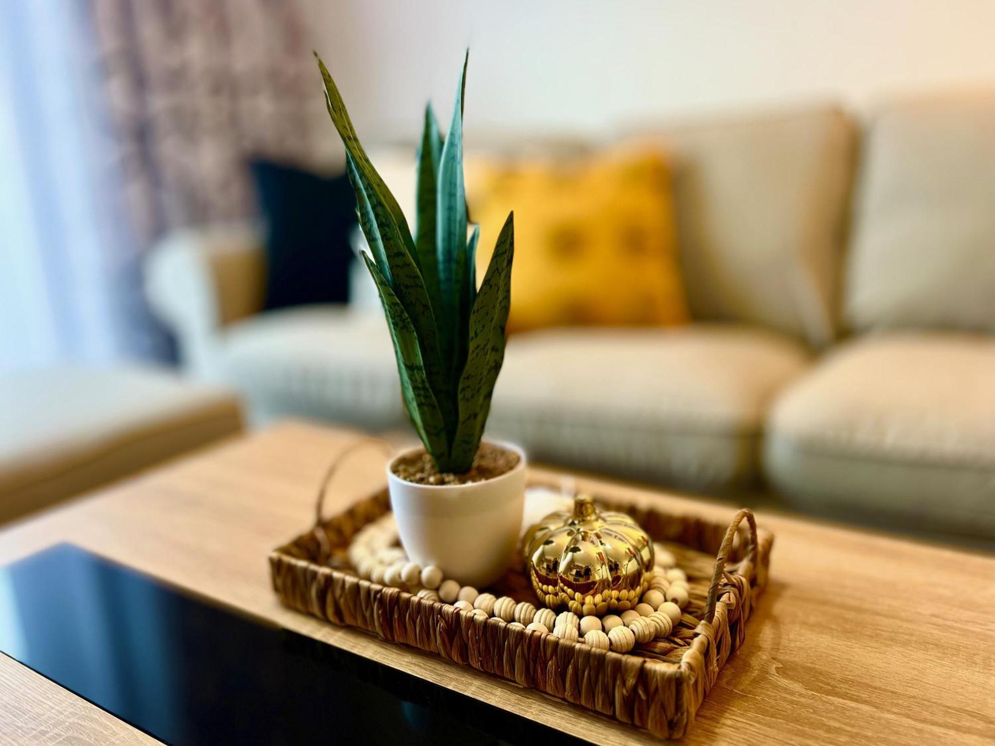 Apartament Casilla Bubo Costa De Antigua Zewnętrze zdjęcie